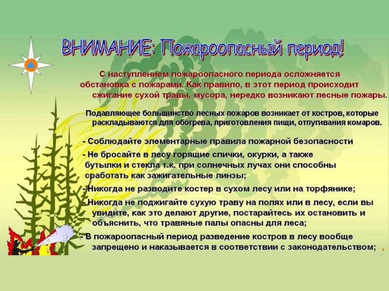 Правила Пожарной Безопасности В Лесах Картинки