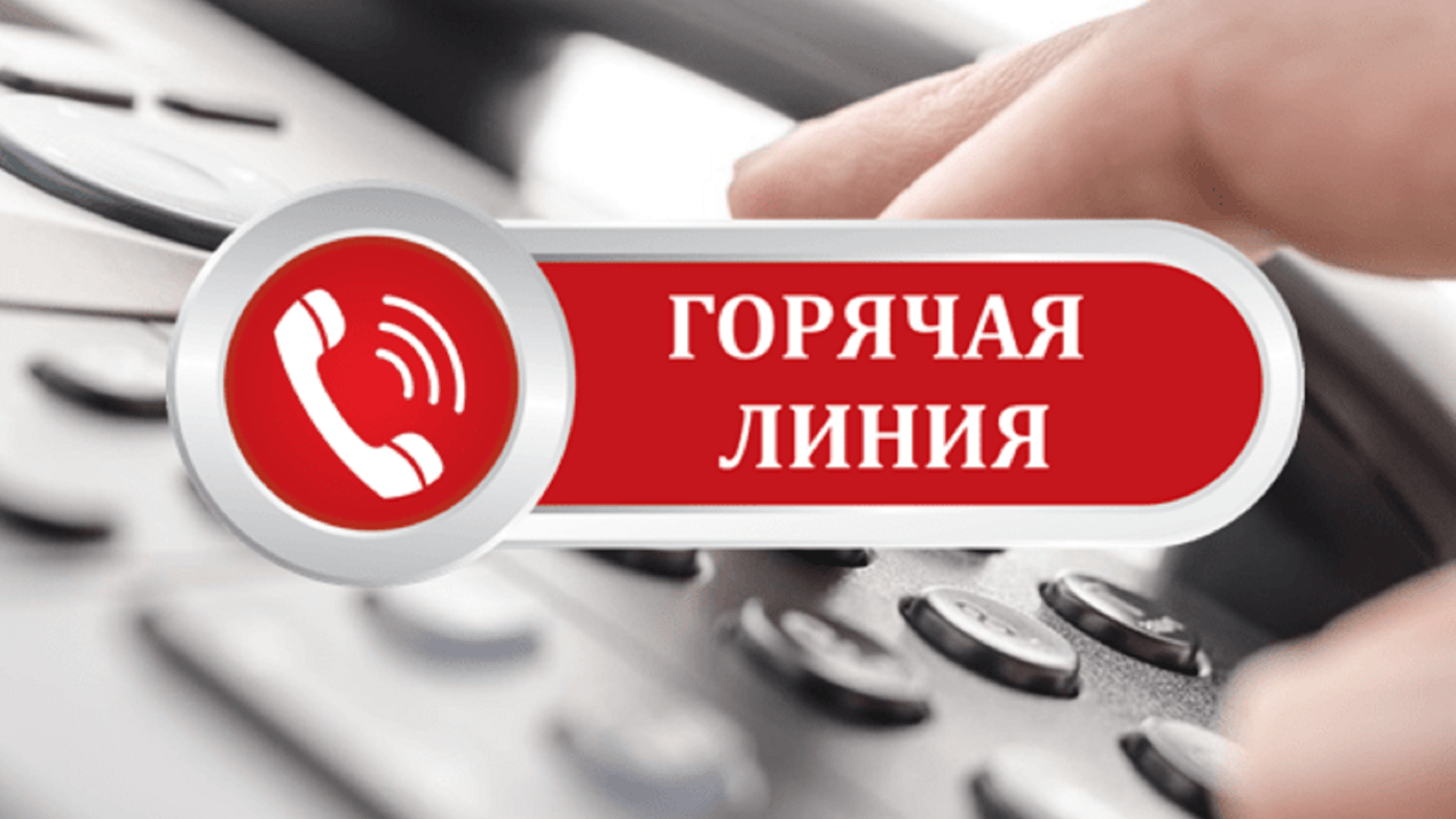 Проведение тематической горячей линии по вопросам детского отдыха, качества и безопасности детских товаров.