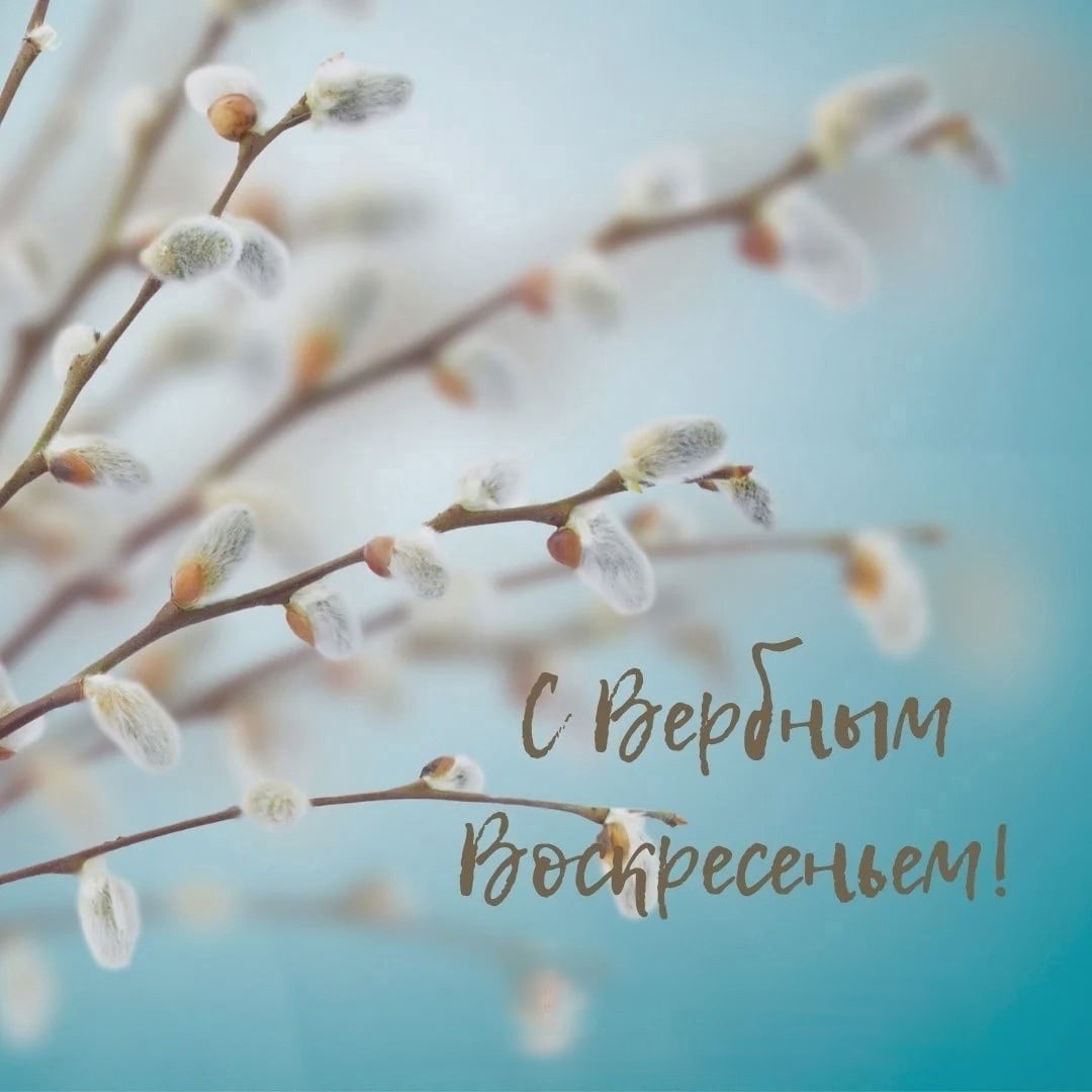Поздравление главы Грачевского муниципального округа Сергея Леонидовича Филичкина с Вербным Воскресеньем.