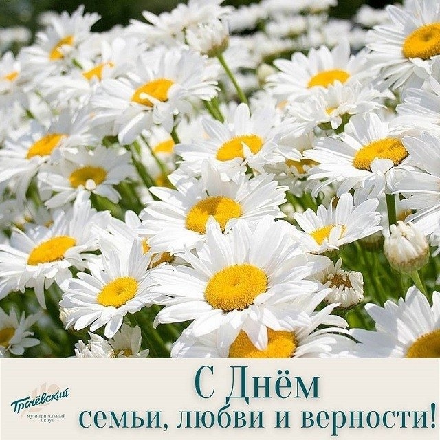 Поздравление главы Грачевского муниципального округа Сергея Леонидовича Филичкина с Днем семьи, любви и верности.