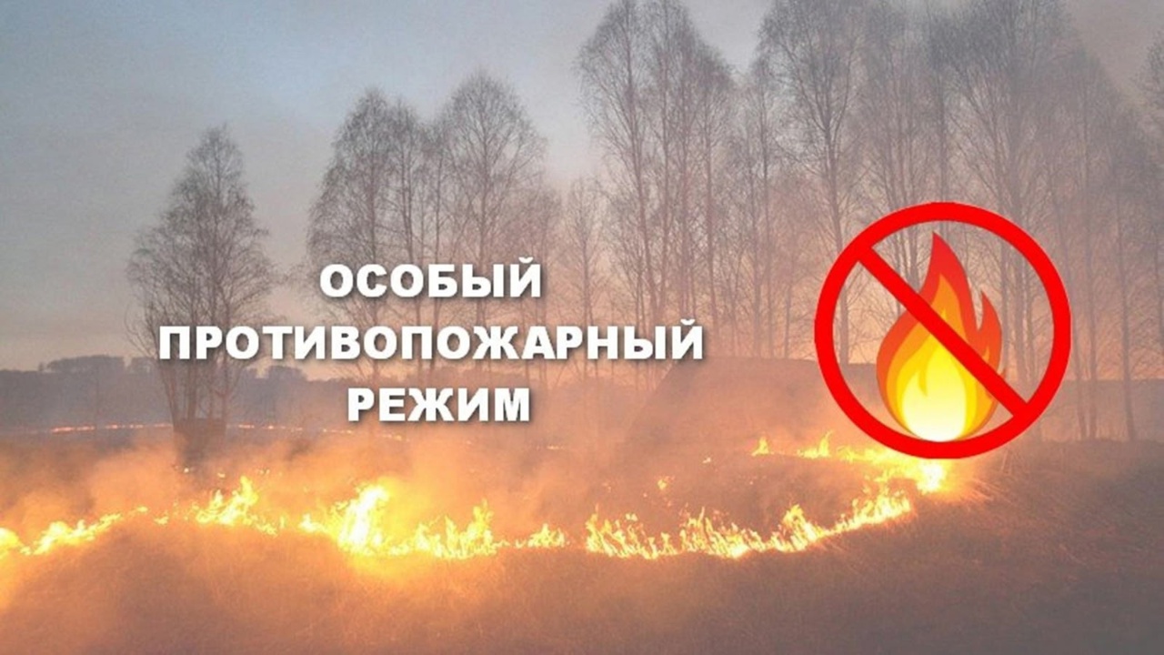 С 1 июля на Ставрополье действует особый противопожарный режим.