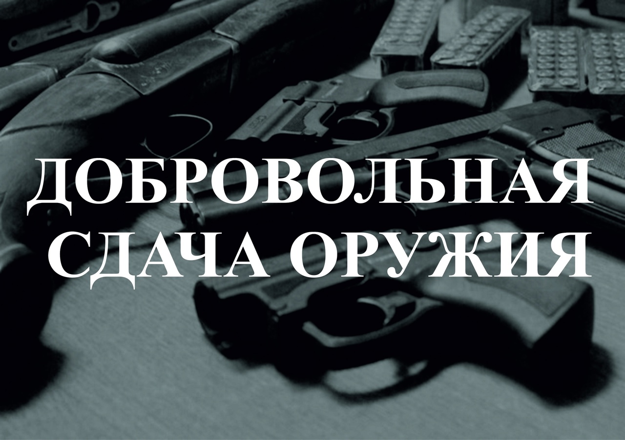 Алгоритм действий гражданина при подготовке документов, необходимых для получения выплаты денежного вознаграждения за добровольную сдачу незаконно хранящегося оружия.