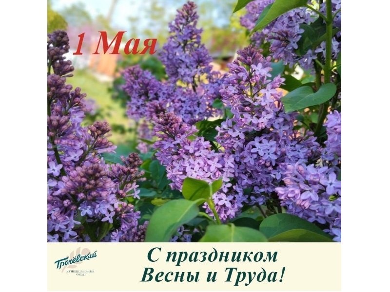Поздравление главы Грачевского муниципального округа Сергея Леонидовича Филичкина с праздником Весны и Труда.