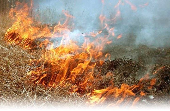 Пожароопасный период. В Ставропольском крае ожидается сильная жара +40….
