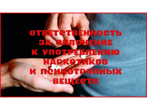 Склонение несовершеннолетнего к потреблению наркотических средств, психотропных веществ или их аналогов. Склонение несовершеннолетнего к потреблению наркотических средств, психотропных веществ или их аналогов.